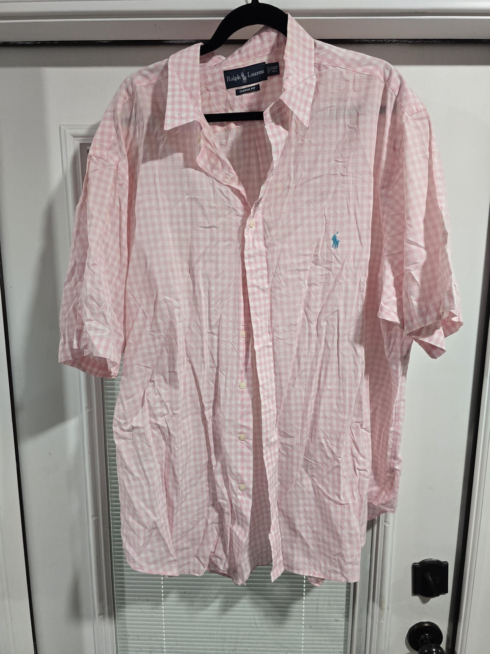 Polo by Ralph Lauren Pink Gingham Short-Sleeve Button-Down Shirt